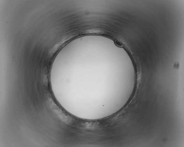 X0000112870345200909111538