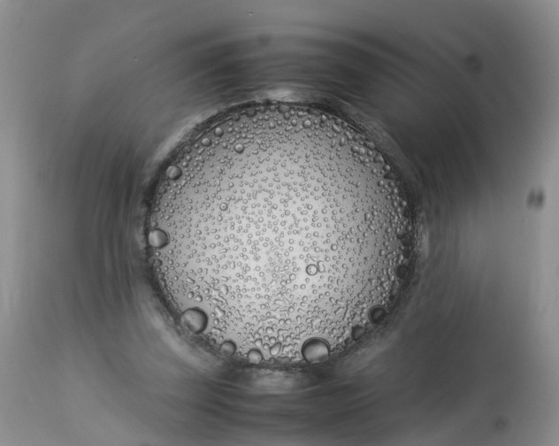 X0000112870347200909111538