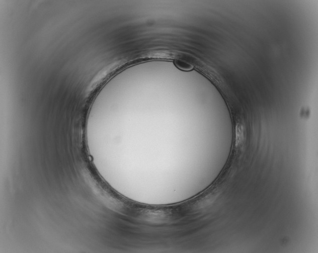 X0000112870349200909111538