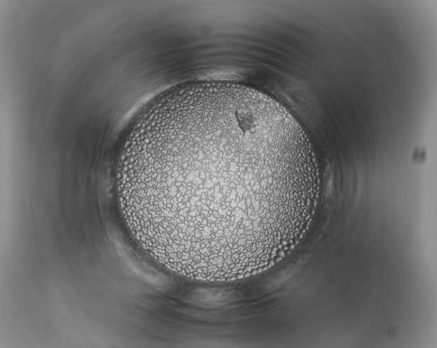 X0000112870351200909111538