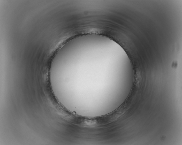 X0000112870355200909111538