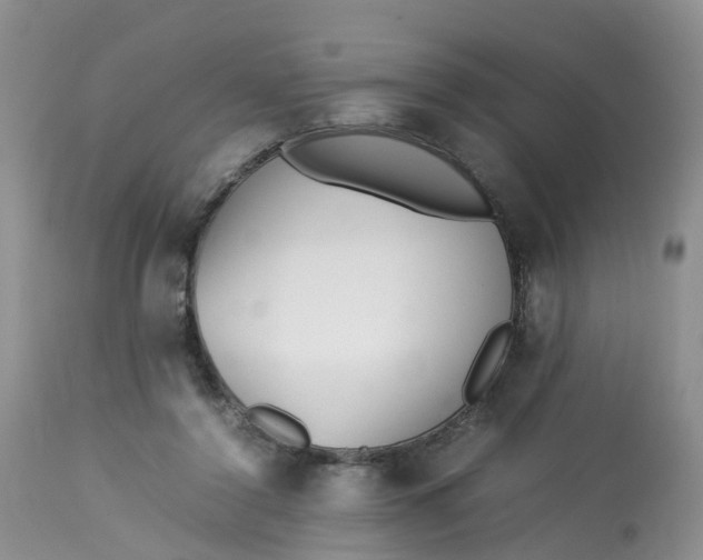 X0000112870356200909111538