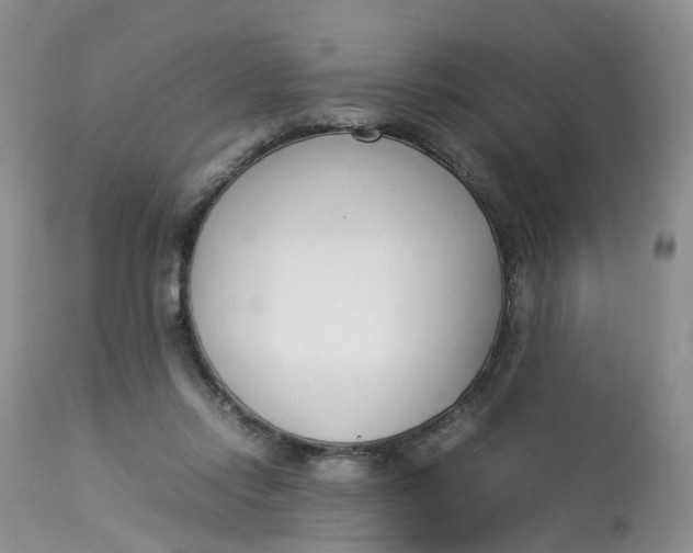 X0000112870358200909111538