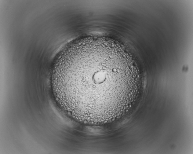 X0000112870359200909111538