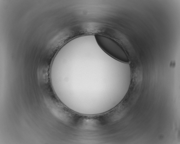 X0000112870360200909111538