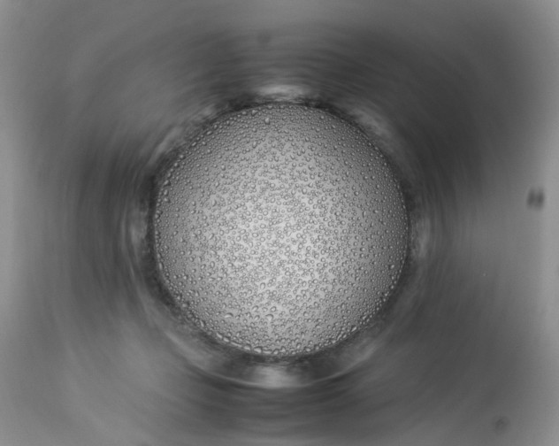 X0000112870365200909111538