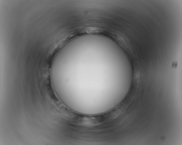 X0000112870367200909111538