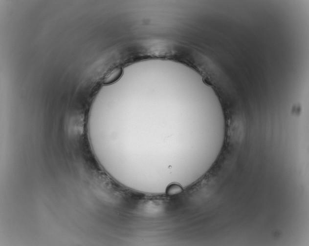 X0000112870368200909111538