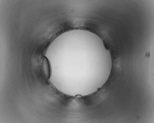 X0000112870372200909111538