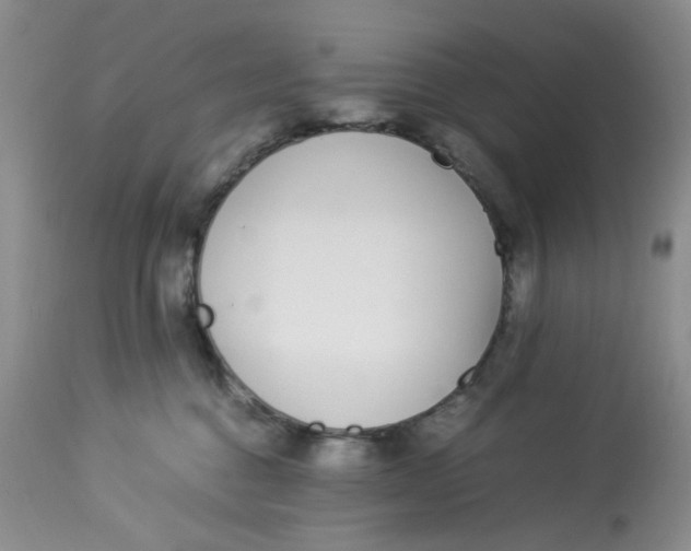 X0000112870376200909111538