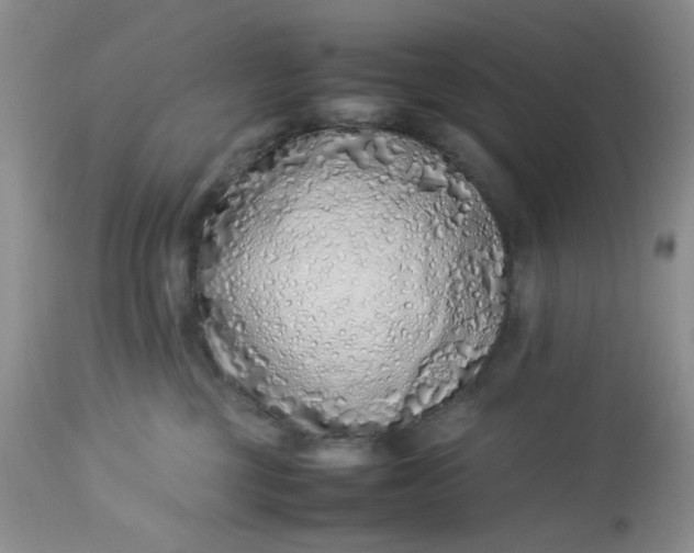 X0000112870377200909111538