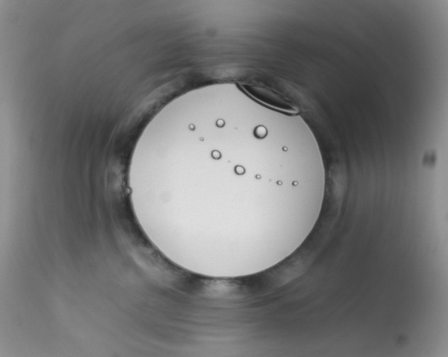 X0000112870380200909111538