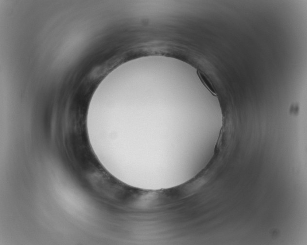 X0000112870382200909111538