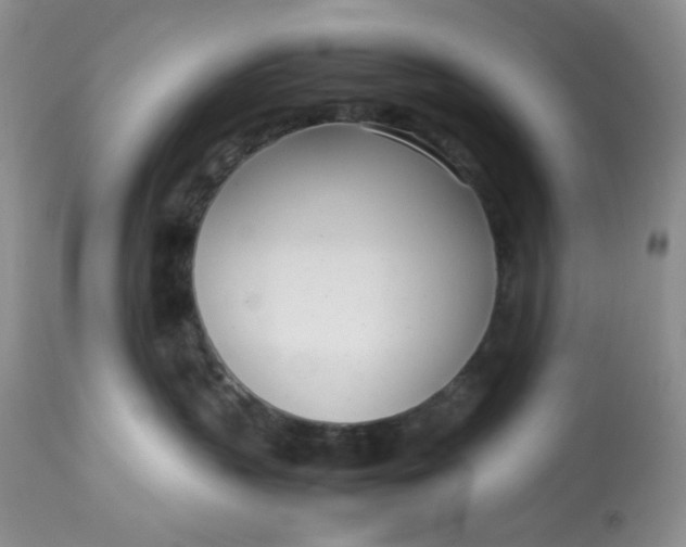 X0000112870383200909111538