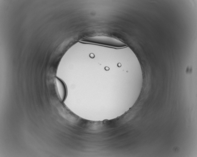 X0000112870384200909111538