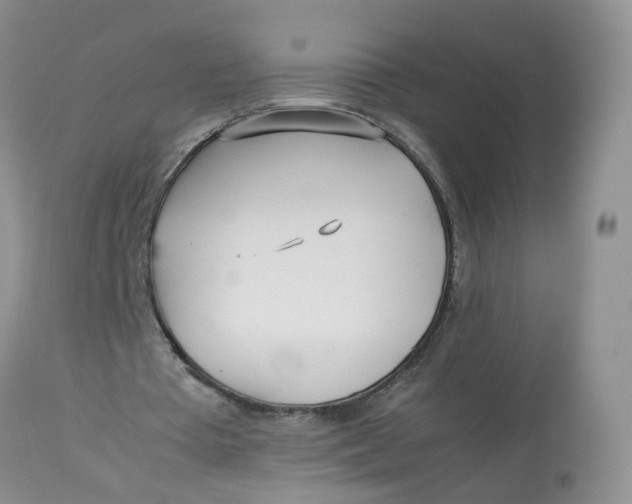 X0000112870385200909111537