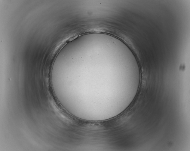 X0000112870386200909111537