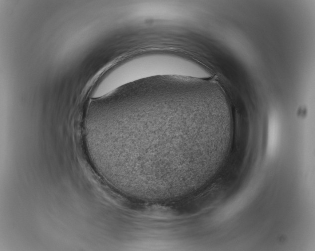 X0000112870387200909111537