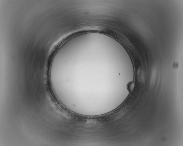 X0000112870388200909111537