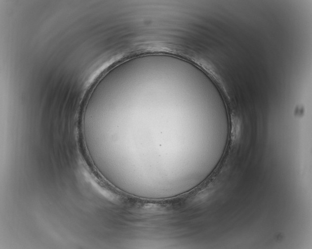 X0000112870390200909111537