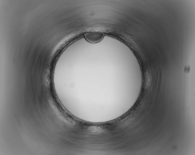 X0000112870392200909111537