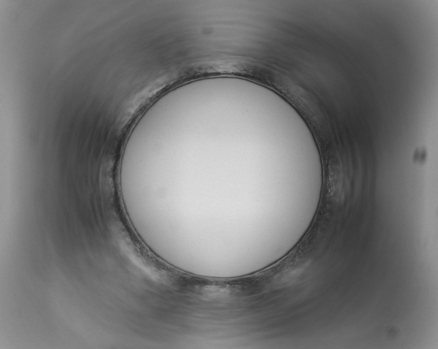 X0000112870394200909111537