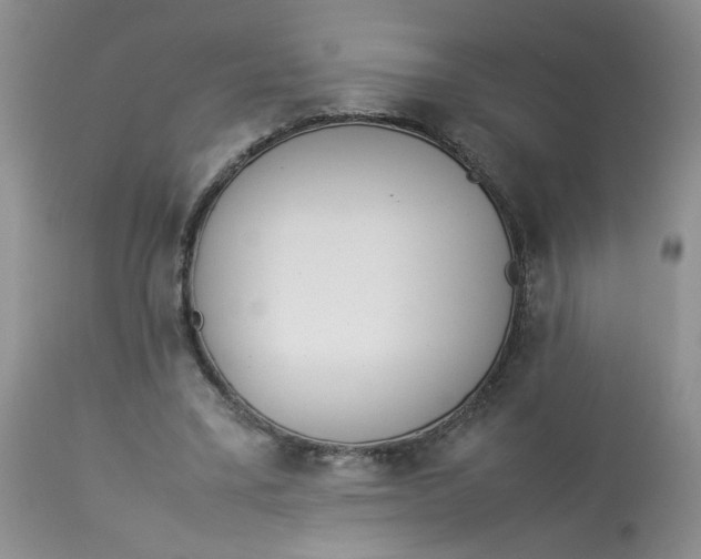 X0000112870395200909111537