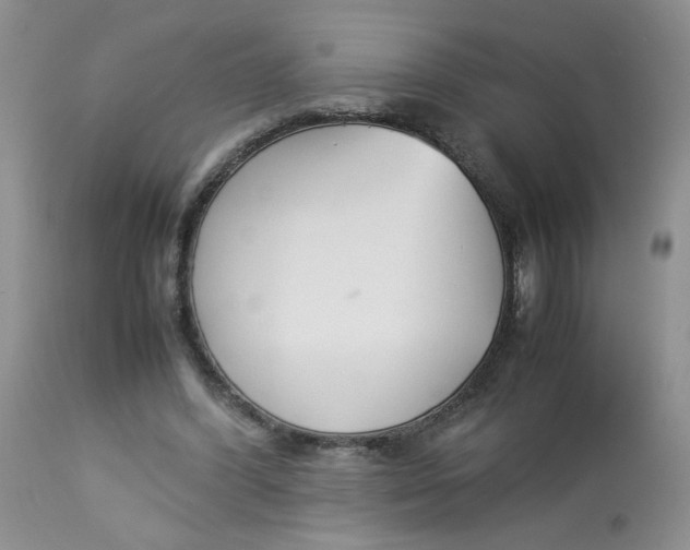 X0000112870396200909111537