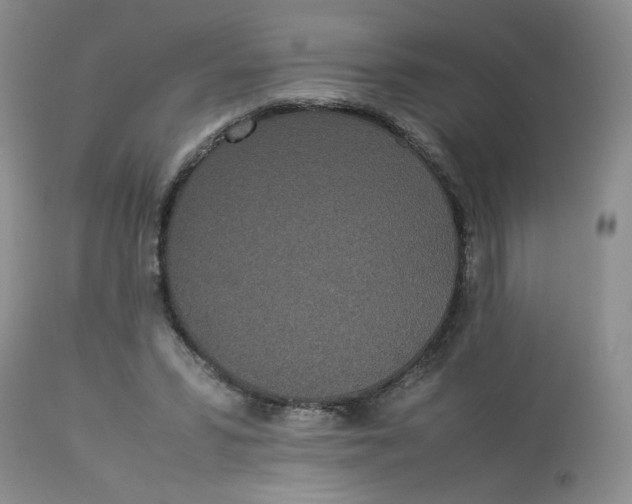 X0000112870399200909111537