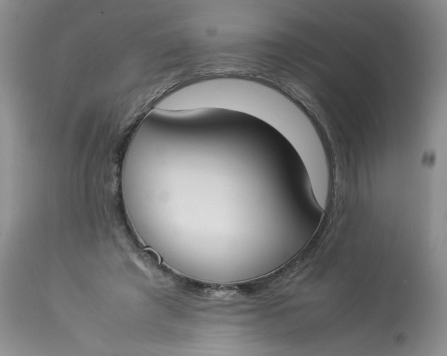 X0000112870401200909111537