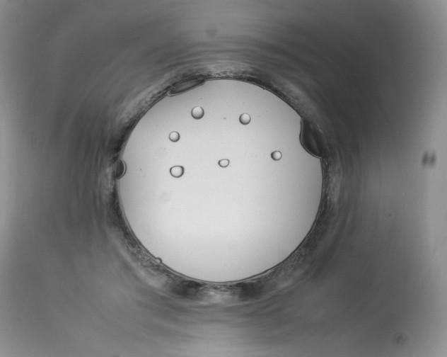 X0000112870405200909111537