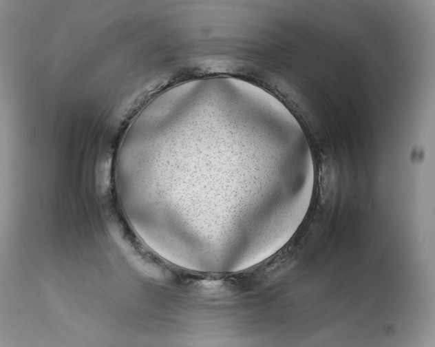 X0000112870406200909111537