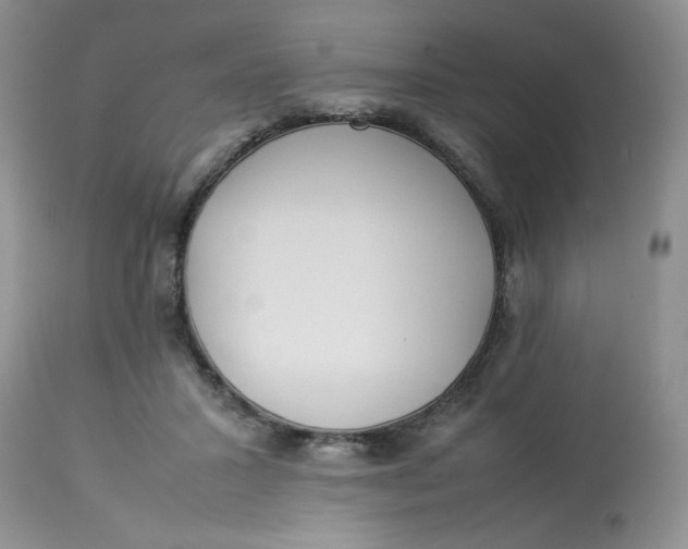 X0000112870407200909111537