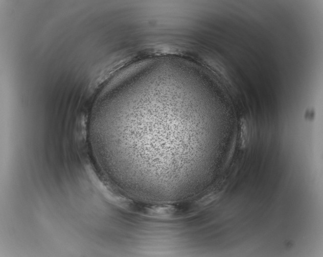 X0000112870410200909111537