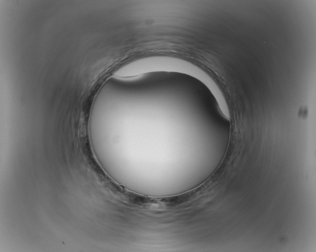 X0000112870411200909111537