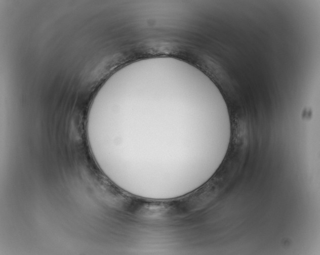 X0000112870414200909111537