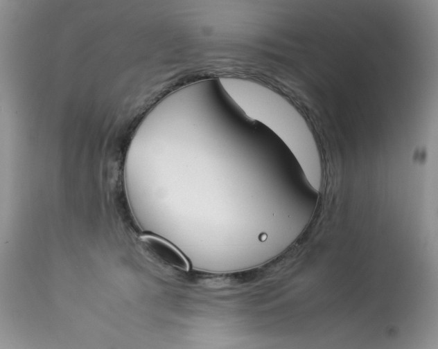 X0000112870417200909111537