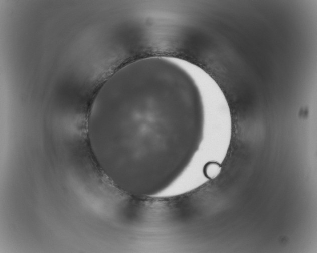 X0000112870419200909111537