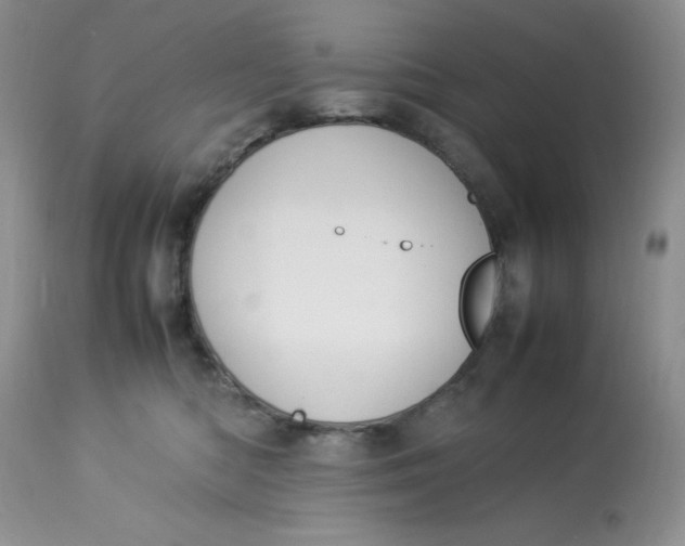 X0000112870422200909111537