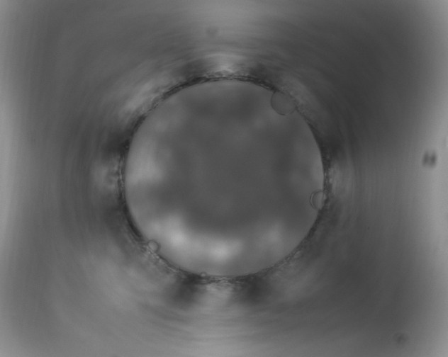 X0000112870423200909111537