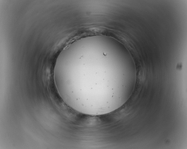 X0000112870424200909111537