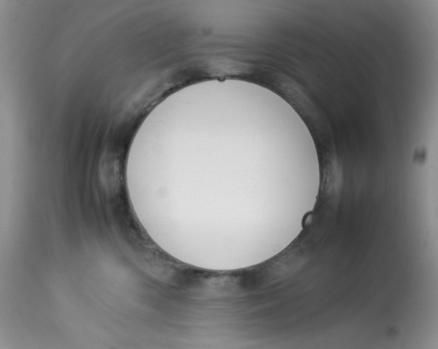 X0000112870426200909111537