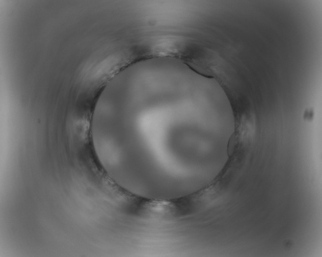 X0000112870427200909111537