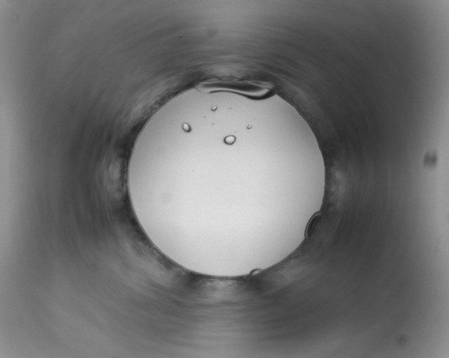 X0000112870428200909111537