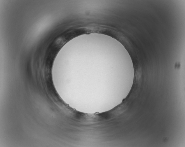 X0000112870429200909111537