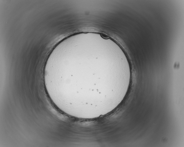 X0000112870433200909111536