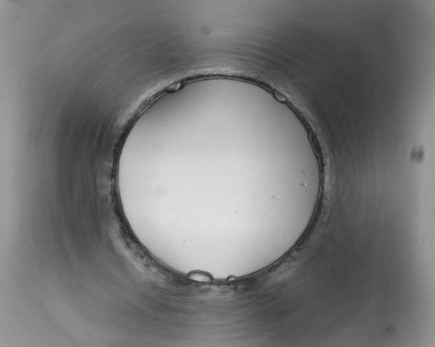 X0000112870434200909111536