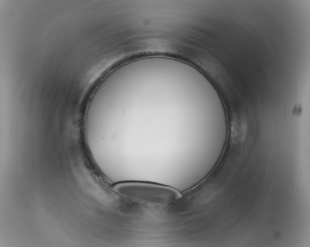 X0000112870436200909111536