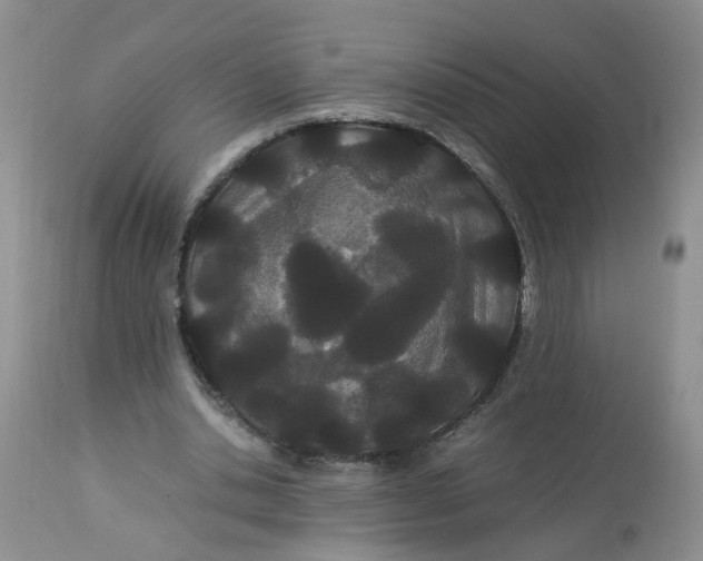 X0000112870438200909111536