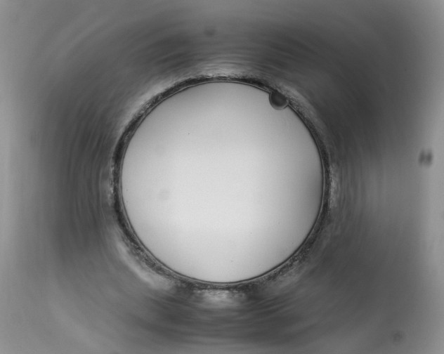 X0000112870439200909111536